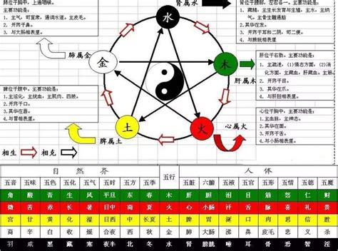 天干十神對照表|(完整)天干十神表